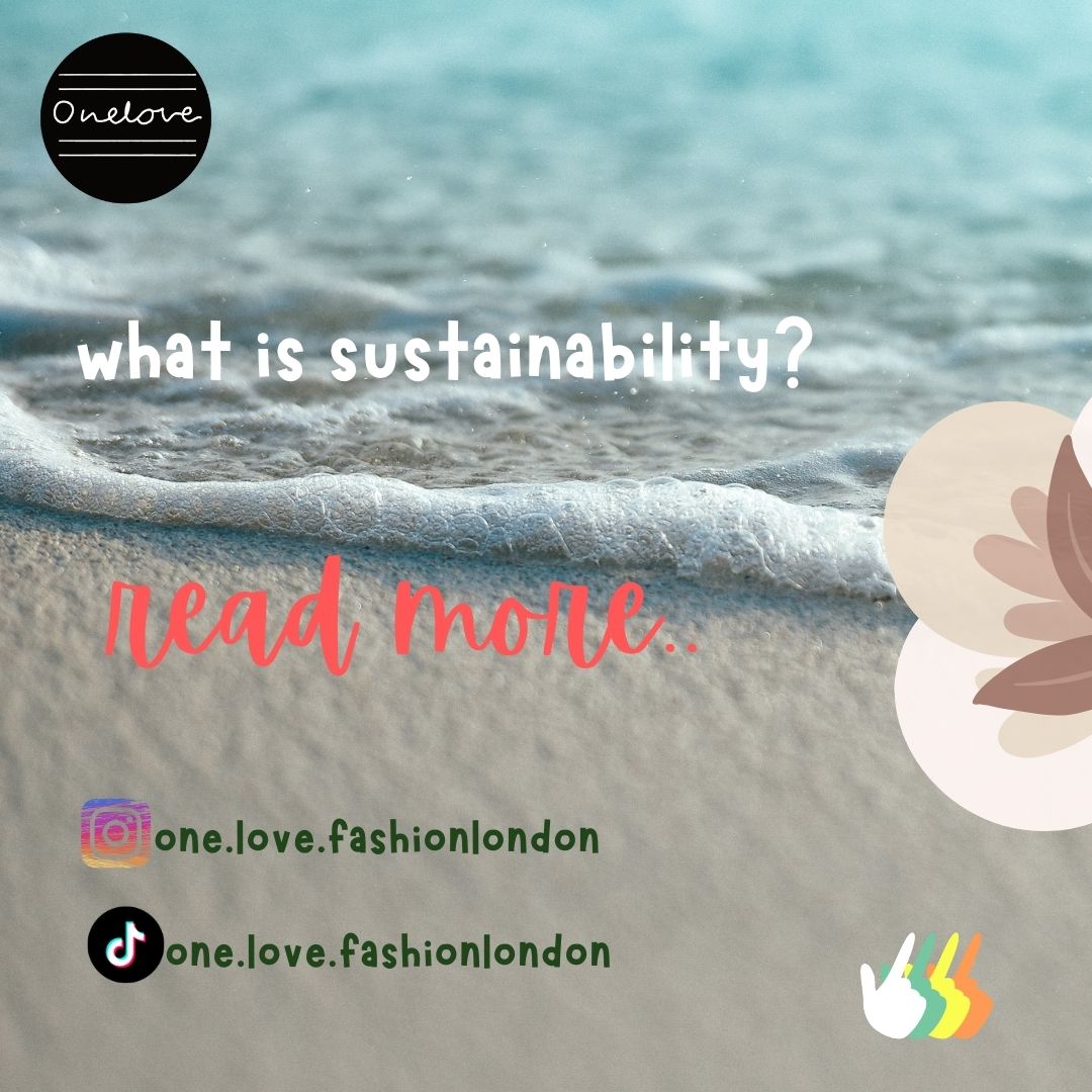What is Sustainability?